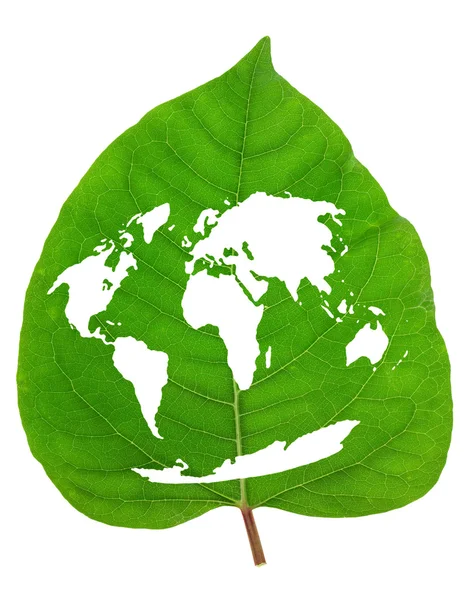 Karte der grünen Erde — Stockfoto