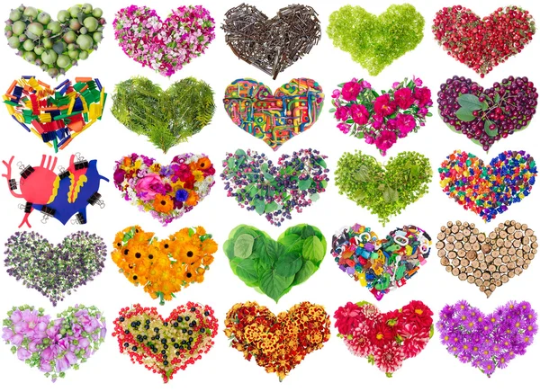Nature hearts isolated concept set — Stock Photo, Image