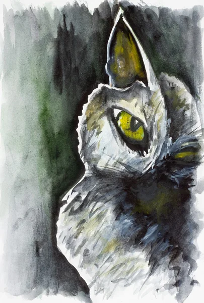 Balck kot duszy — Zdjęcie stockowe