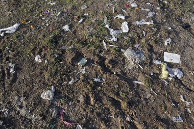 bizim toprak yiyen çöp