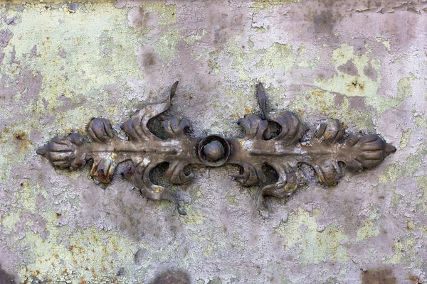 Decorative  iron rusty  leaves — Stock Photo, Image