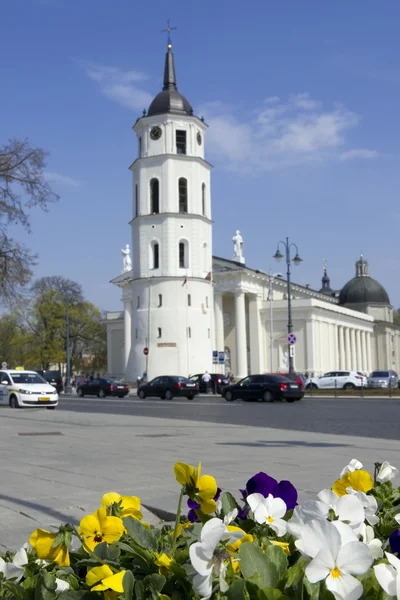 Våren i Litauen — Stockfoto