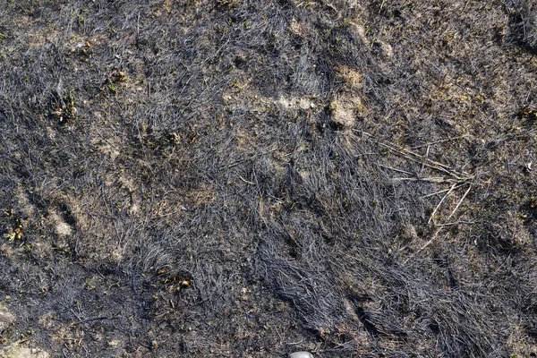 Сгоревшая трава — стоковое фото