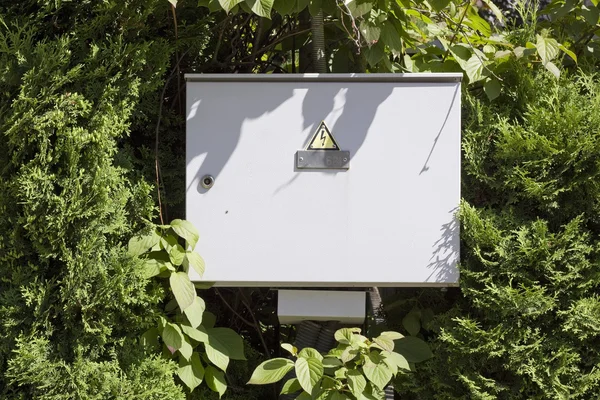 Caja eléctrica en la madera —  Fotos de Stock