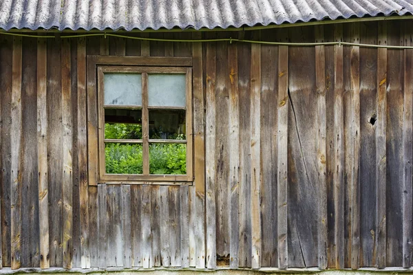 Grass behind the window — Stock Photo, Image