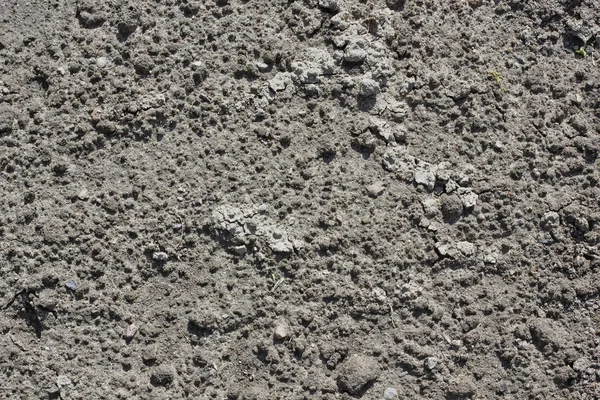 Conceito de terra morta — Fotografia de Stock