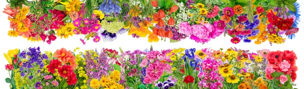 Fantastické květinové hranice — Stock fotografie