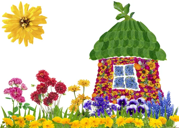 Floral eco huis concept — Stockfoto