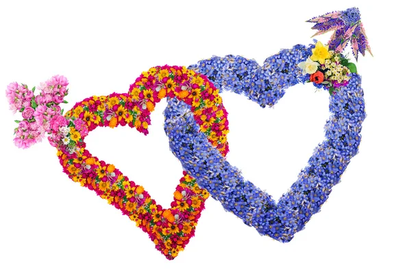 Flowers lovers hearts — Stock Photo, Image