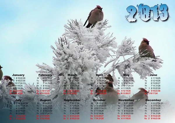 Kalender för 2013 — Stockfoto