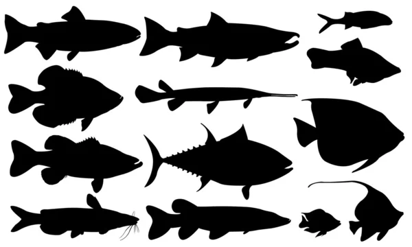 Pescado — Vector de stock