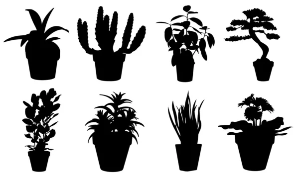 Plantas — Archivo Imágenes Vectoriales