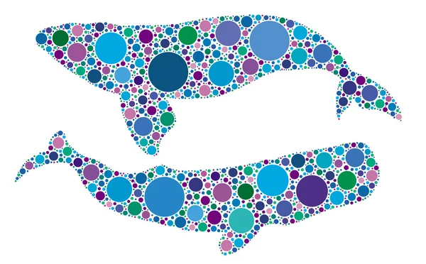 Baleines — Image vectorielle