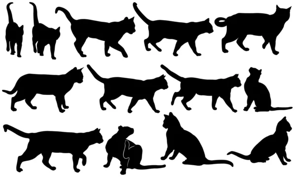 Gatos — Vector de stock