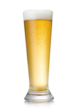 Tall glass of lager premium craft beer on white.
