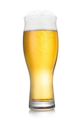 Lager beer in long glass with bubbles and foam on white.