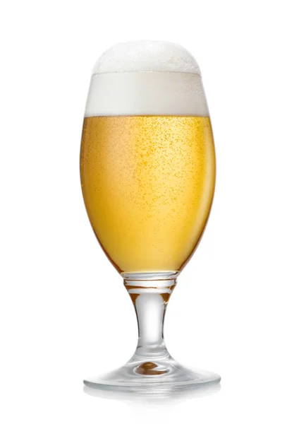 Sklenice Ležáckého Ponoru Ipa Premium Pivo Pěnou Bílém — Stock fotografie