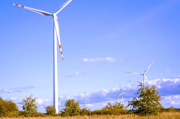 Windturbine güneşli — Stok fotoğraf