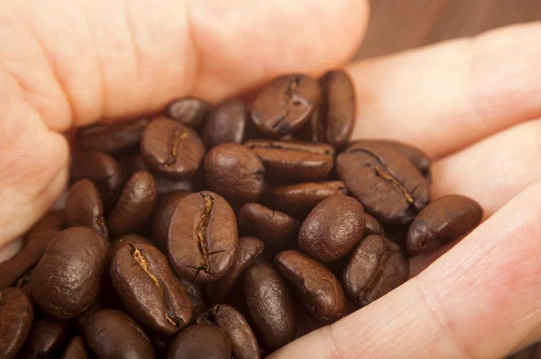 Los granos de café cierran — Foto de Stock