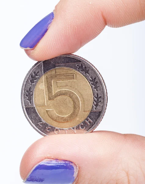 Polish zloty coins on white — Stock Photo, Image
