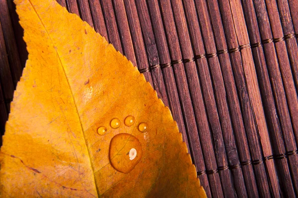 Herbstblätter — Stockfoto