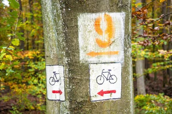 Sign in the forest — Stock Photo, Image