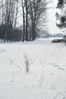 Kış aylarında manzara
