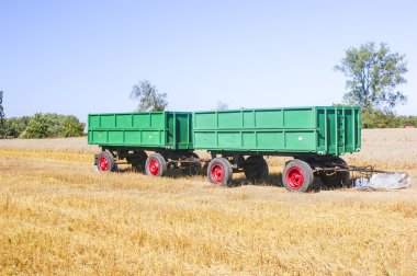 hasat Mısır birleştirmek