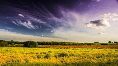 bahar döneminde manzara