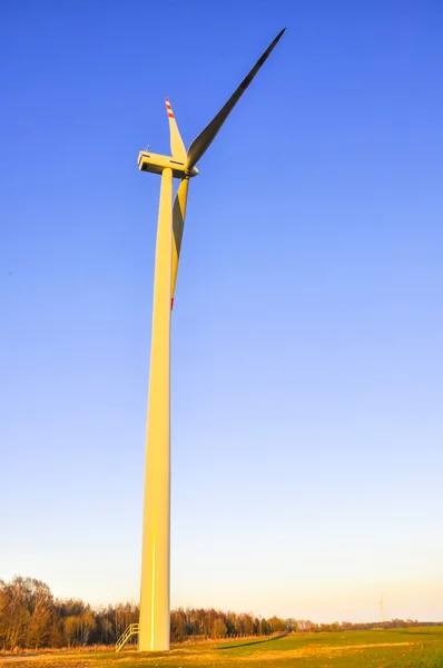 Windmolenpark — Stockfoto