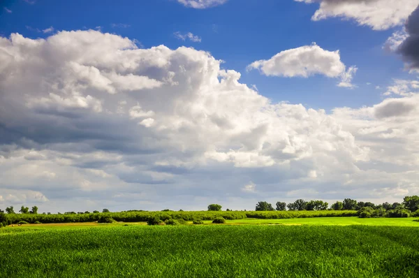 Paisaje durante la primavera —  Fotos de Stock