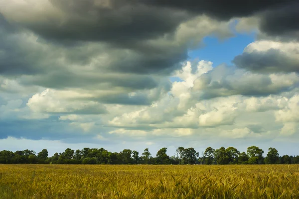 Fabrika görüntüsünü
