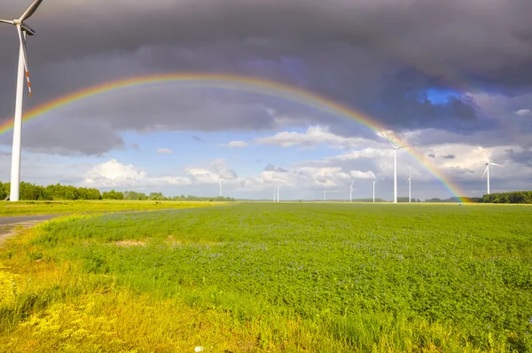 Wind farm — Stock Photo, Image