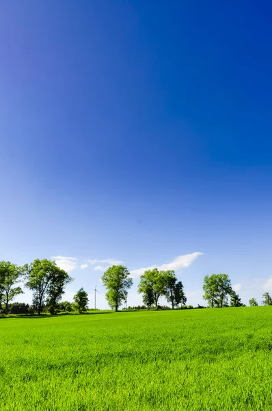 Paisaje durante la primavera —  Fotos de Stock