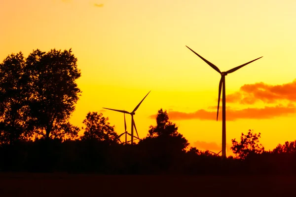 Windmolenpark — Stockfoto