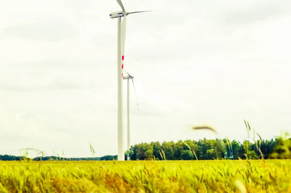 Wind farm — Stock Photo, Image