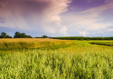 Fabrika görüntüsünü