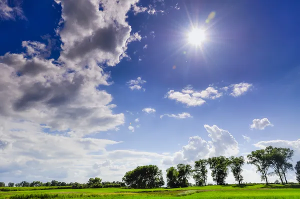 Paesaggio durante la primavera — Foto Stock