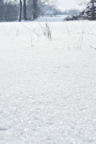 Landskap under vintern — Stockfoto