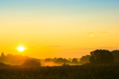 bahar döneminde manzara