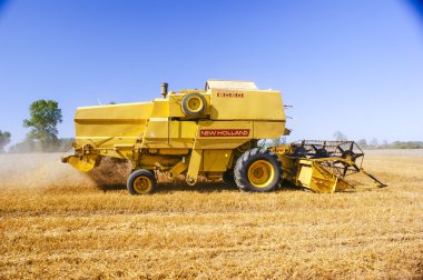 görüntüsünü birleştirme hasat Mısır