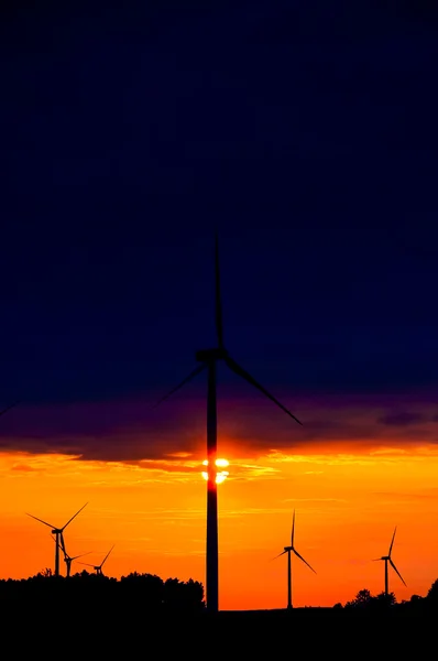 Windmolenpark — Stockfoto