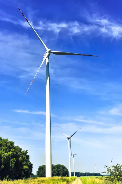 Windmolenpark — Stockfoto