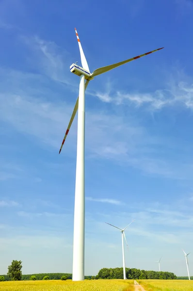 Wind farm — Stock Photo, Image