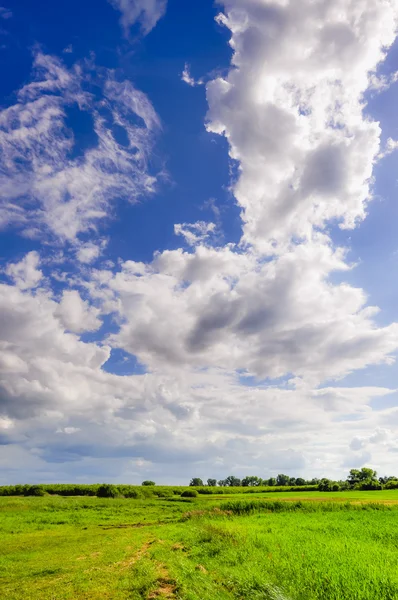 Landscape during spring — Stock Photo, Image