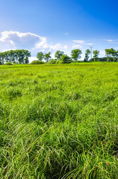 Paisagem durante a primavera — Fotografia de Stock