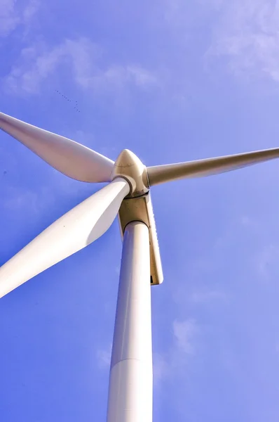 Wind farm — Stock Photo, Image