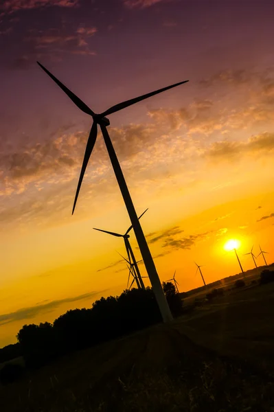 Windmolenpark — Stockfoto