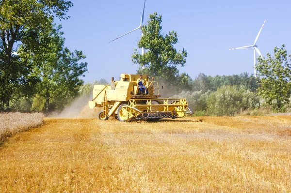 Combine harvesting corn — Stock Photo, Image