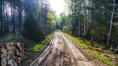 Araziyi yolu ormandaki